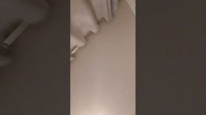 стрим на 10 подписчиков