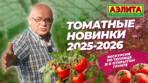 НАШИ НОВЫЕ сорта и гибриды ТОМАТА сезона 2025-2026!