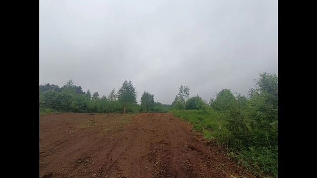 06-08-2025 смотреть онлайн