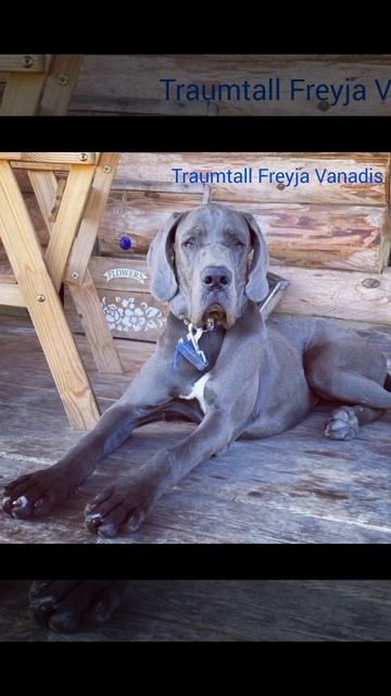 От маленькой до большой 🥰