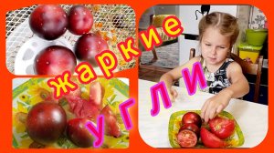 Сорта помидор. Жаркие угли. Выбор! 🍅