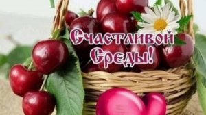 СЧАСТЛИВОЙ СРЕДЫ! ПУСТЬ УТРО ПОДАРИТ НАМ РАДОСТЬ😄😍💕 И ВОСТОРГ!
