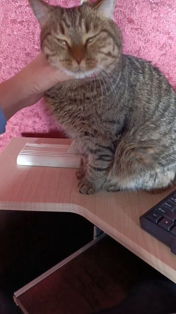 работа это принуждение смотреть онлайн