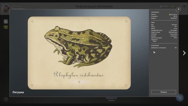 Улов с карточками в игре Русская рыбалка 4, нет коллекции, река Вьюнок, Лягушка смотреть онлайн