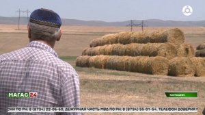 В Ингушетии продолжается жатва озимых