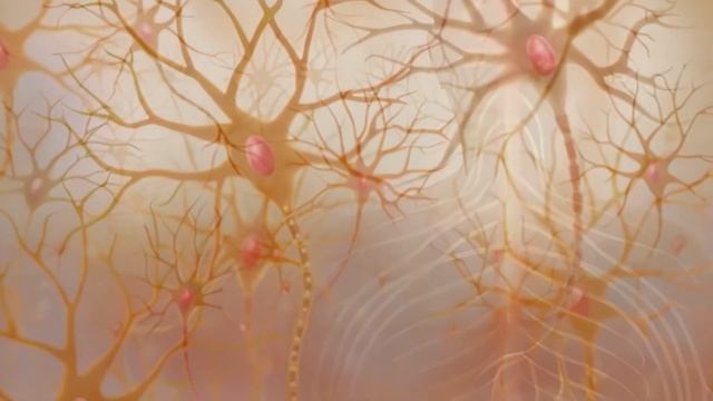 Наталья Комоза