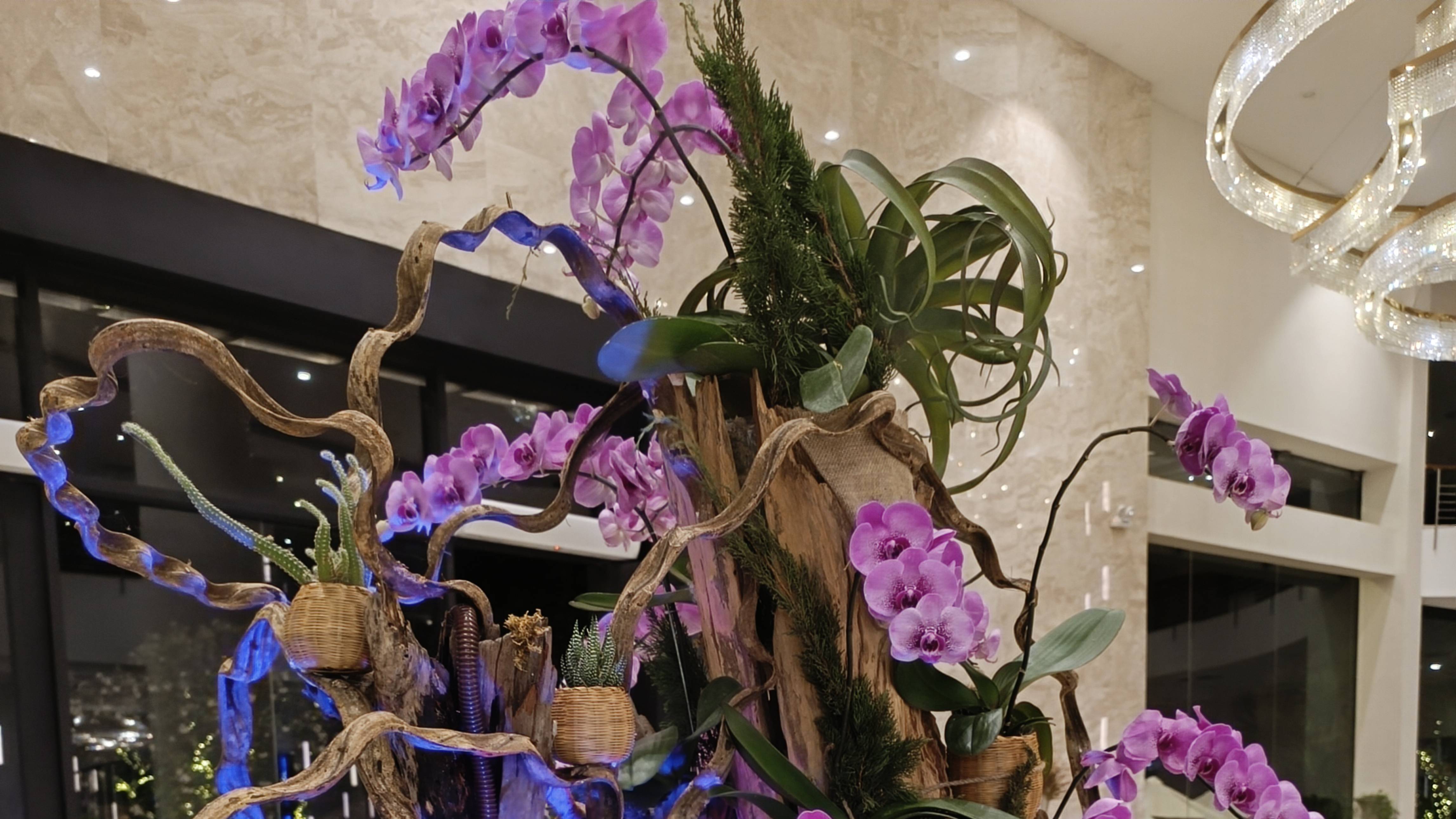 завтрак отель Vinpearl Resort & Spa Nha Trang Bay. Вьетнам. Нячанг смотреть онлайн