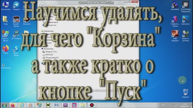 корзина файлов