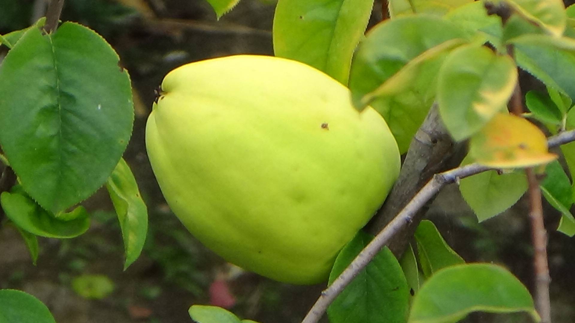 Иди посмотри