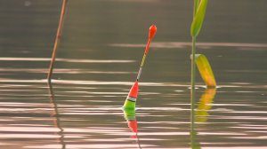 Рыбалка на поплавок. Рыбалка с ночевкой