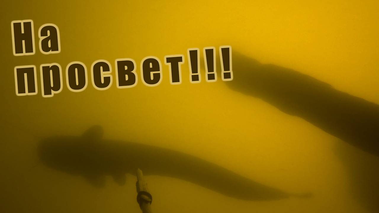 ПОИСК УТОПЛЕННОГО МОТОРА!!! СТАИ СУДАКА И СОМ НА ПРОСВЕТ!!! смотреть онлайн