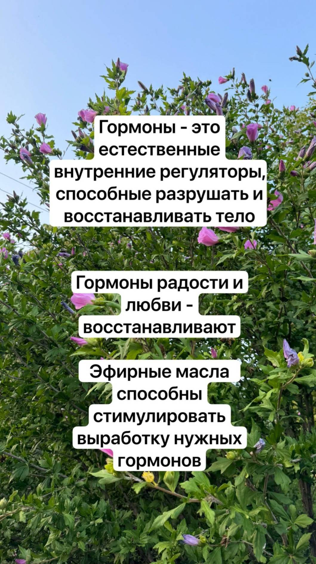 Лайф с Галиной Эловой