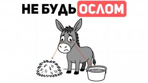 15 удивительных ПРАВИЛ для построения богатства и принятия мудрых решений