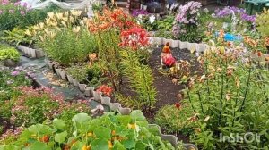 5 августа 2025 года.Жизнь в деревне.