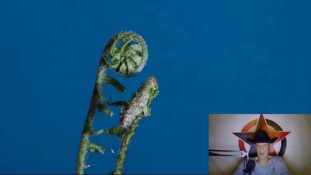 Этология против иллюзий _ Кто и зачем запрещает ДНК-тесты