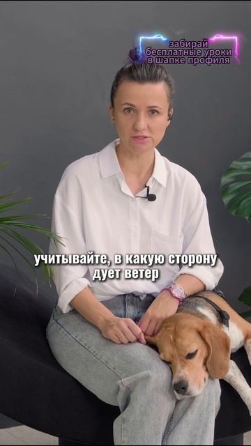 🎁Бесплатные уроки. Жми сюда! смотреть онлайн