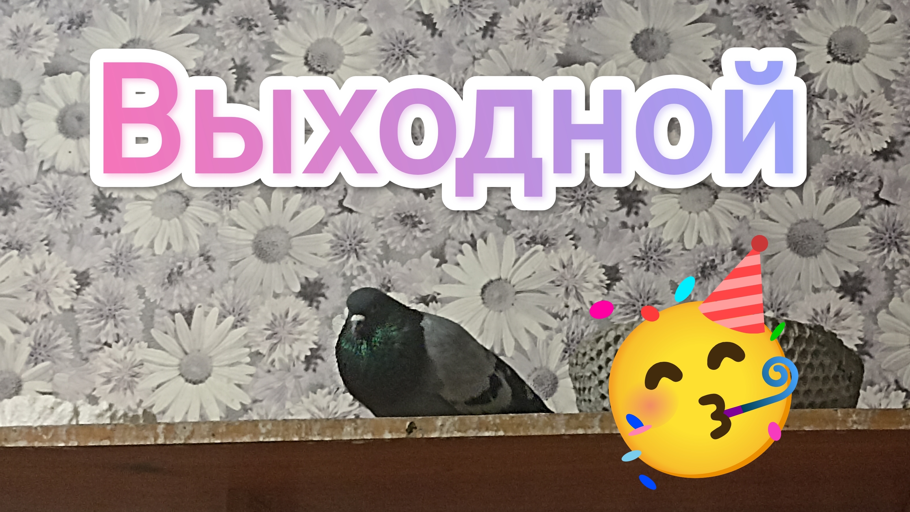 06-08-2025. Выходной / Наконец, лужу засыпали.