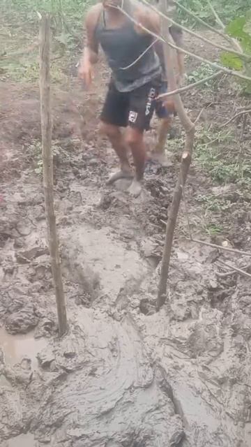 технолоджья