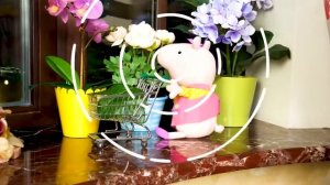 Готовлю игрушкам — Свинка Пеппа готовит печенье и овощной суп — Игры в пластилин Плей До для детей