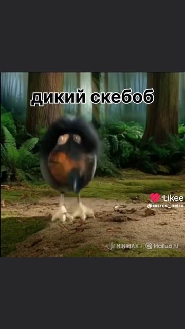 дикий скебоб смотреть онлайн