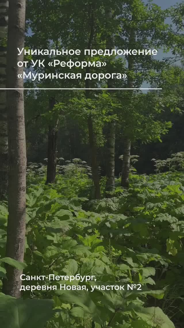 Эксклюзивное предложение от УК «Реформа», проект «Муринская дорога» – земельный участок.