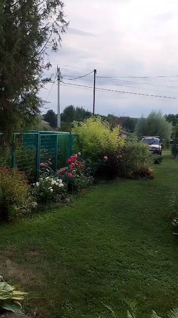 Вечерело, смеркалось😂 02.08.2025 смотреть онлайн