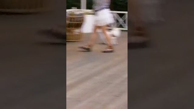 VID-20250803-WA0016.mp4 смотреть онлайн