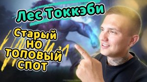 Топ спот👉 Лес Токкэби 👉  Black Desert  | BDO