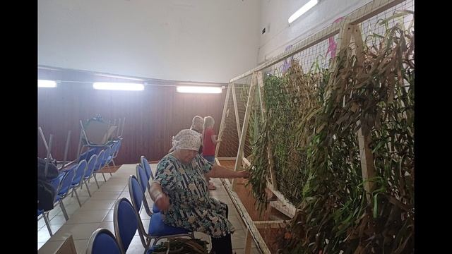 Волонтёры-Новские пчёлки 2025 г. смотреть онлайн