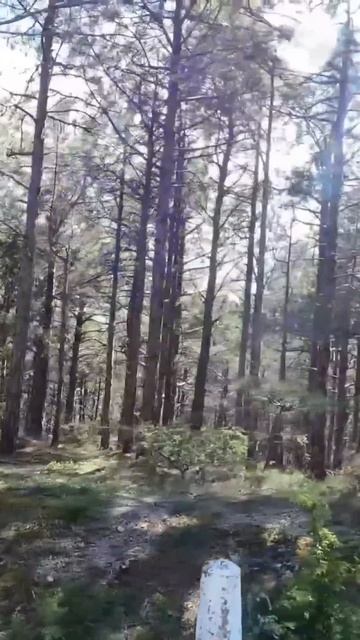 Аркадий Илюхин