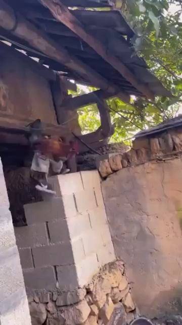 Утренняя пробежка смотреть онлайн