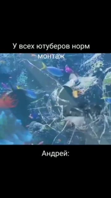 Пов: смотреть онлайн