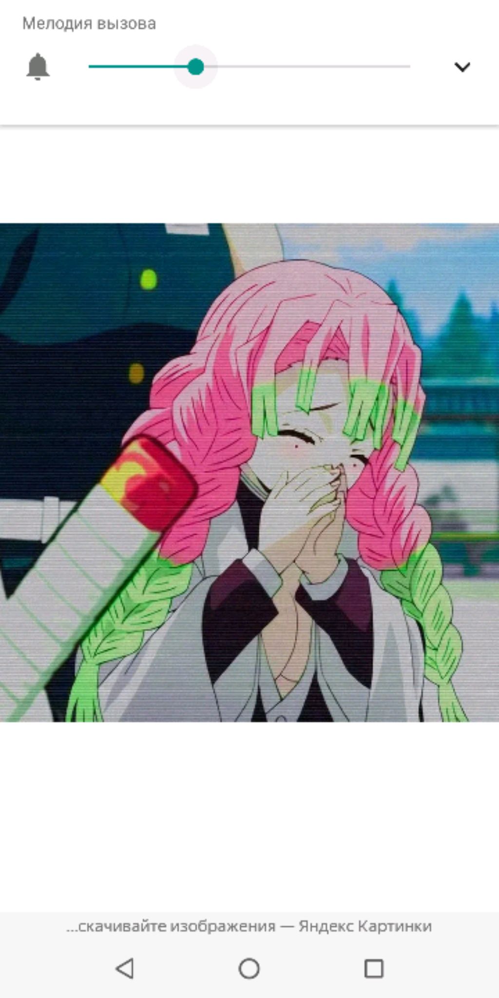 Кошка 24 Мяу