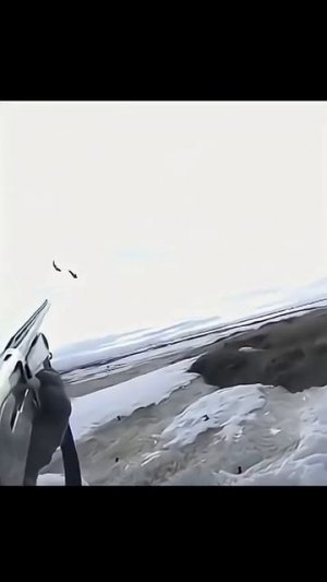 Одним выстрелом 🕊️🕊️🎯