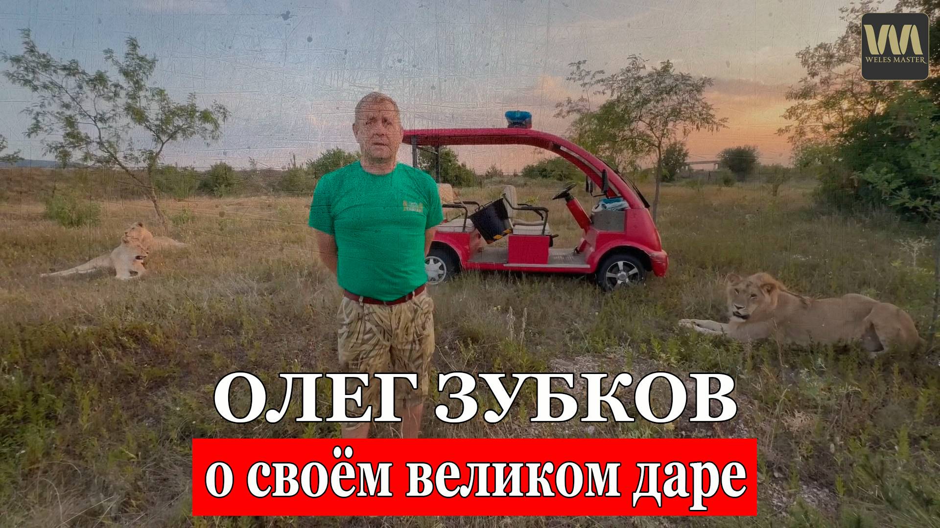 Как Олег Зубков рассказывал, почему на него не нападают львы в "Тайгане", 6 августа смотреть онлайн