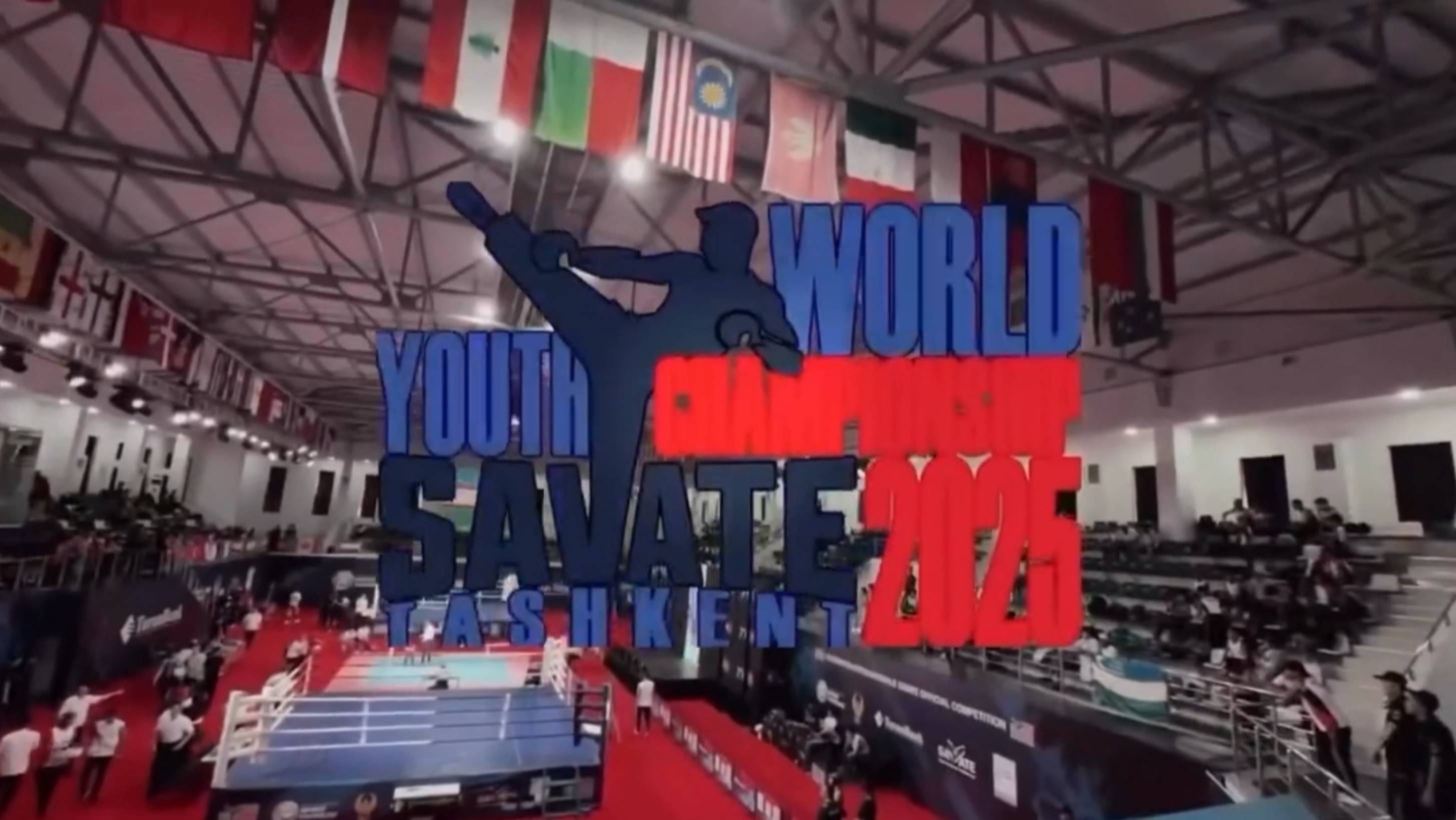 Кубок мира по савату 2025.