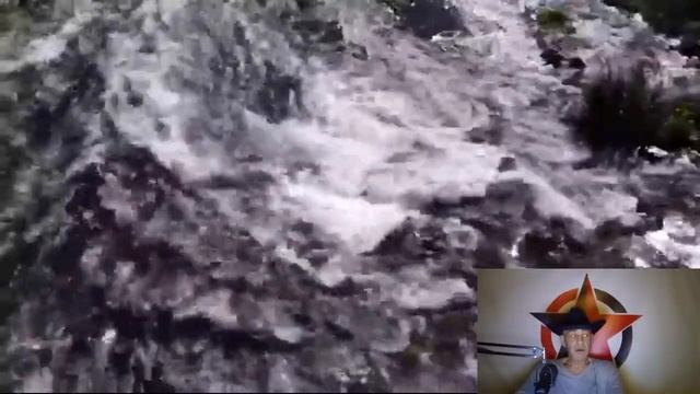 Этология отношений и Почему свиньи не видят звёзд _ Часть II