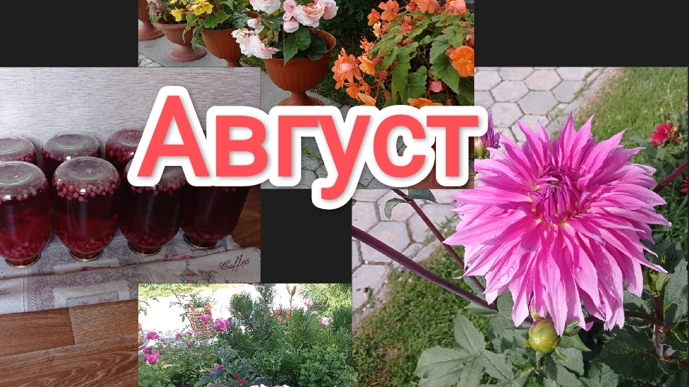 жизнь на Крайнем Севере/утренний обзор северного Сада/где жить хорошо