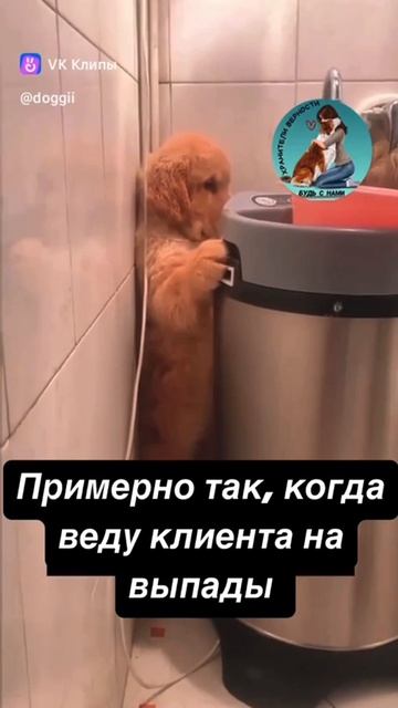 😒 Выпады — это сложно((  🔥 Но! Это очень эффективно!!!