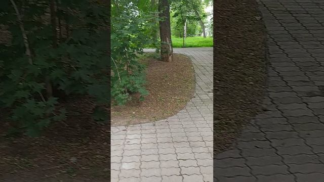 Что определяет развитие твоей Судьбы по худшему, среднему или лучше у Пути?