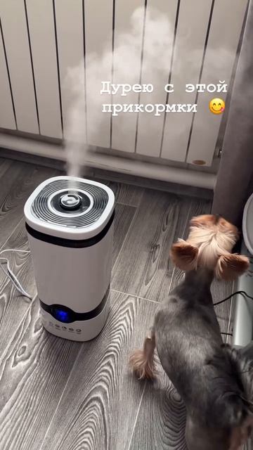 Анастасия  Романова