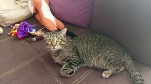 Если хочешь танцевать,танцуй танцуй