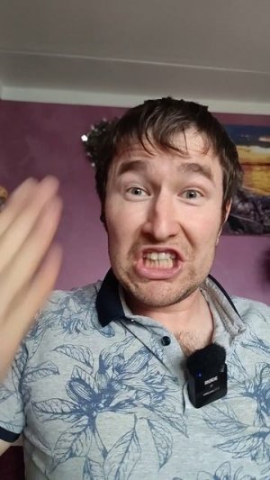 Никаких котов в квартире ❌