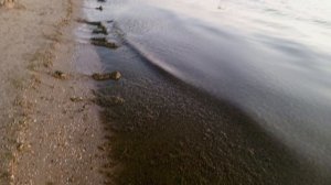 video_2025-08-05_20-32-10