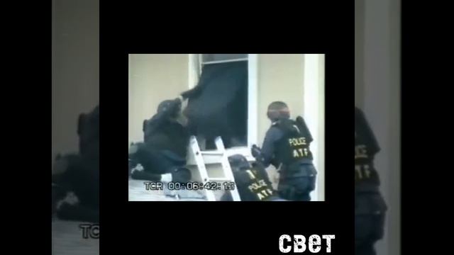 Гос структуры edit. смотреть онлайн