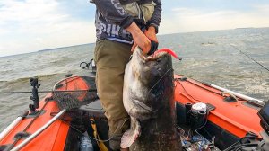 ОН БОЛЬШЕ ДВУХ МЕТРОВ И СИЛЬНЕЕ МЕНЯ! СХВАТКА С МОНСТРОМ НА спинниннг. Рыбалка в 2025