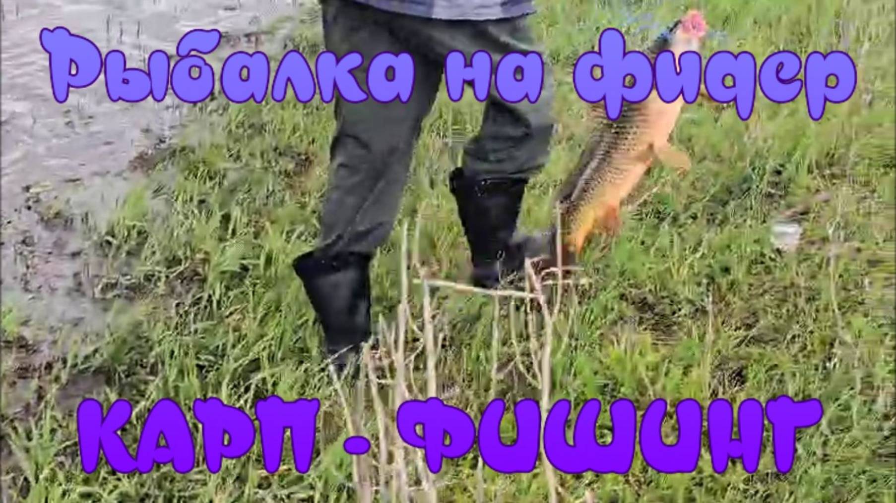 Рыбалка на фидер. "Карпфишинг". смотреть онлайн