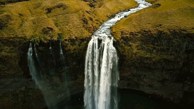 Мир живой природы смотреть онлайн