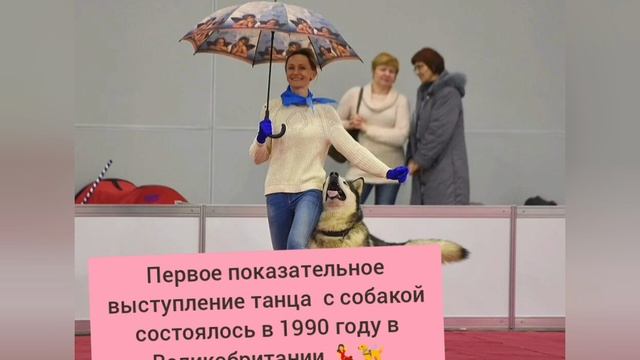Танцы с собакой 
Особенности вида спорта 💃🦮