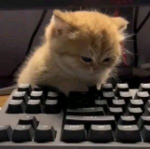 выполняю задание